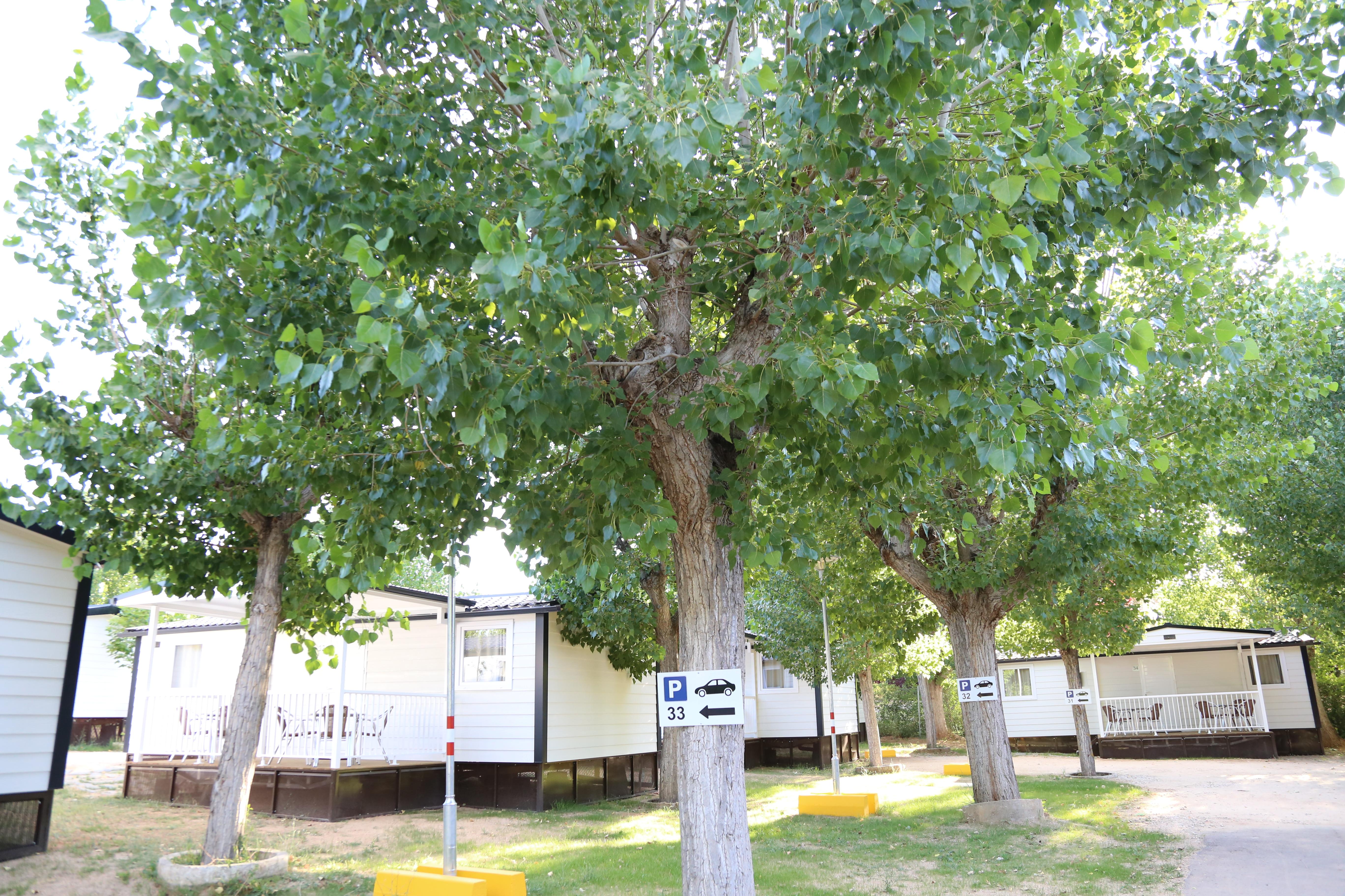 Bungalows Y Mobil Homes Camping Regio Santa Marta de Tormes Exterior photo